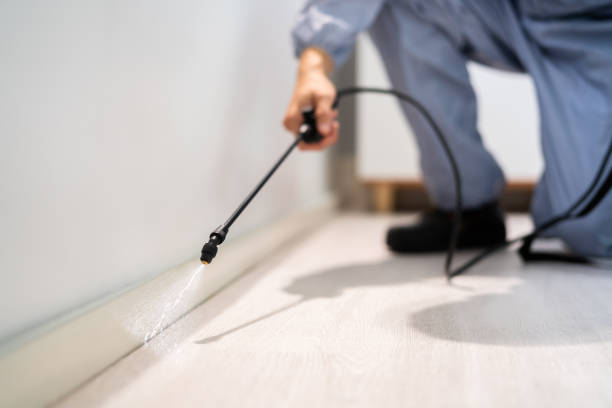 Licensed Termite Control service in Hunter, OH - Nex Pest Control