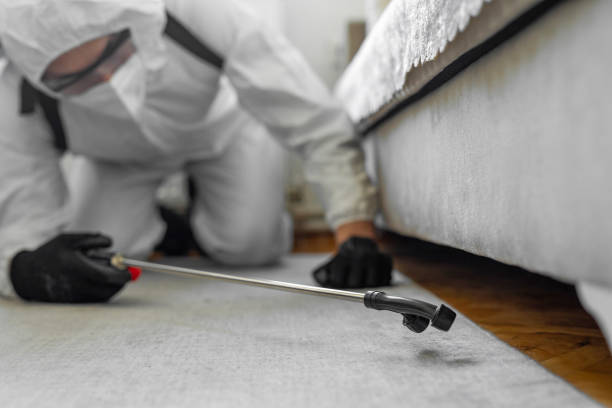 Professional Termite Control technician working in Hunter, OH