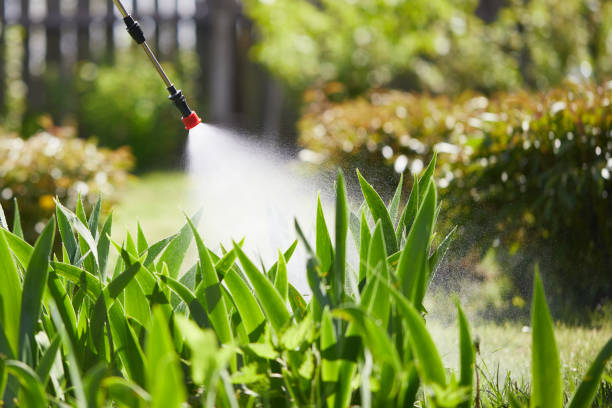 24/7 Emergency Termite Control experts in Hunter, OH
