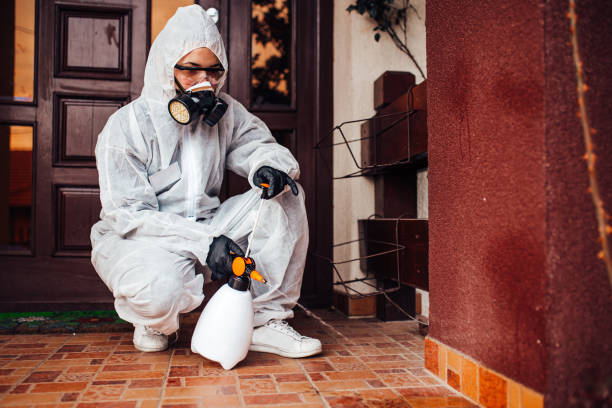 Reliable Termite Control contractor in Hunter, OH by Nex Pest Control